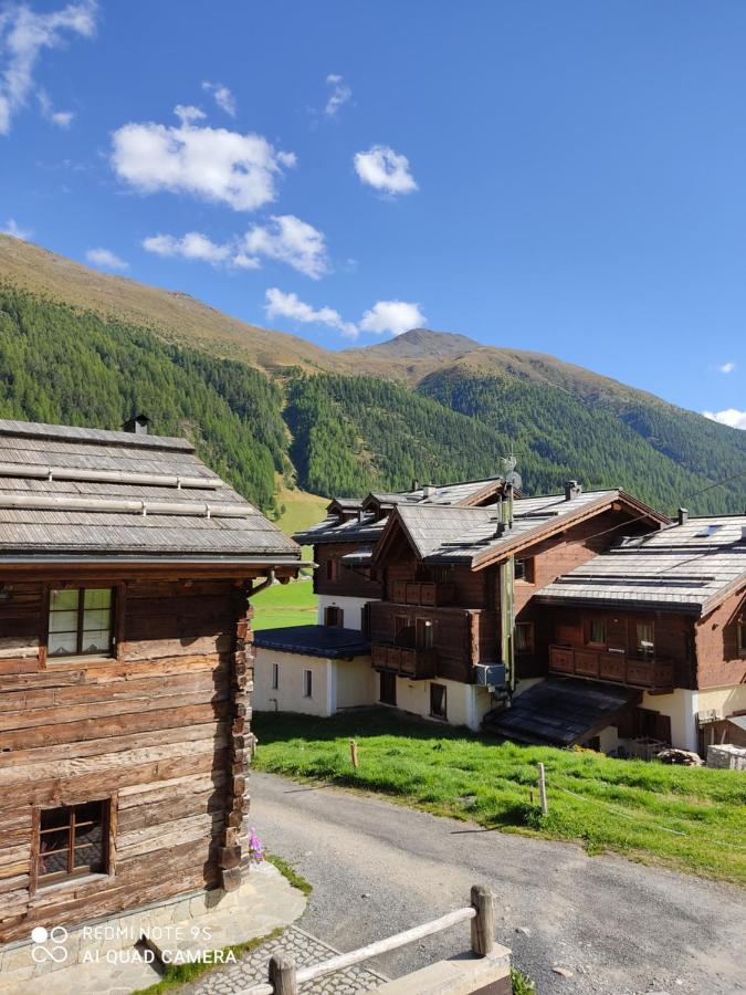 Fior D'Alpe Apartment Ливиньо Экстерьер фото